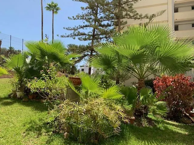 El Dorado Holidays *